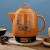 Household Health Care Chinese Medicine Casserole Ceramic Boiling Electric Decoction Pot Kitchen Appliances Kettle Teapot 6