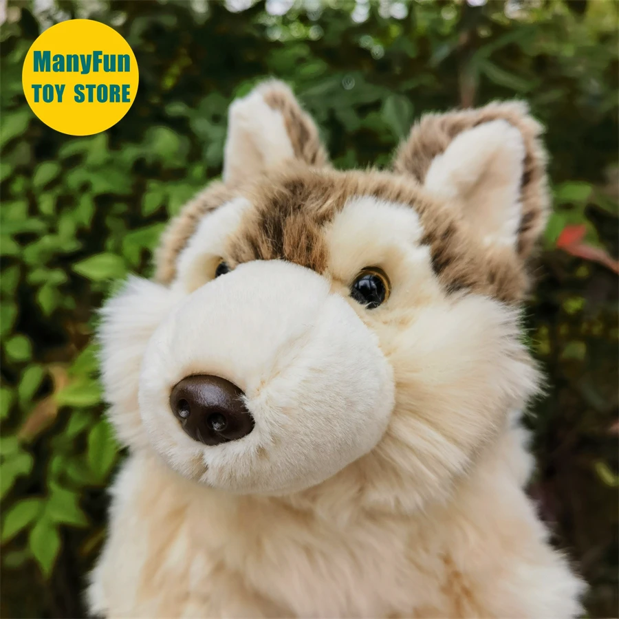 Coyote Plush Toy Lobos High Fidelity Grey Wolf Plushie Wolf Peluche Lifelike Stuffed Animals Simulation Doll Kawai Toy Gifts 3