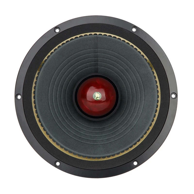 LS-01 Fast-10 10 Inch Full Range Speaker 25W-50W/8Ohm/LII AUDIO