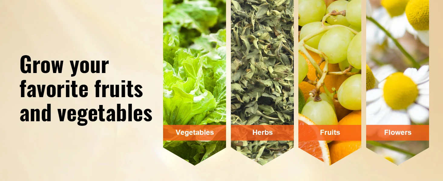 raised beds for gardening