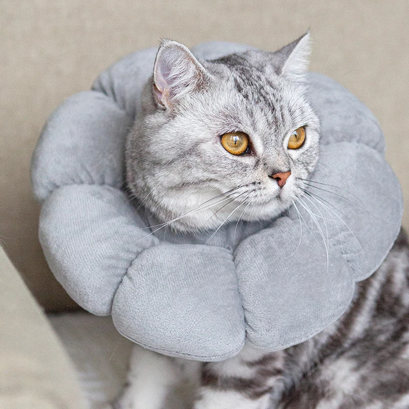 Sunflower Pet Elizabethan Collar Adjustable Anti-Bite Surgery Anti-Lick Wound Protective Collar Cotton Soft Adjustable 2