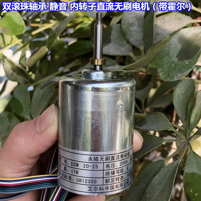 220V DC alta tensão dc motor brushless