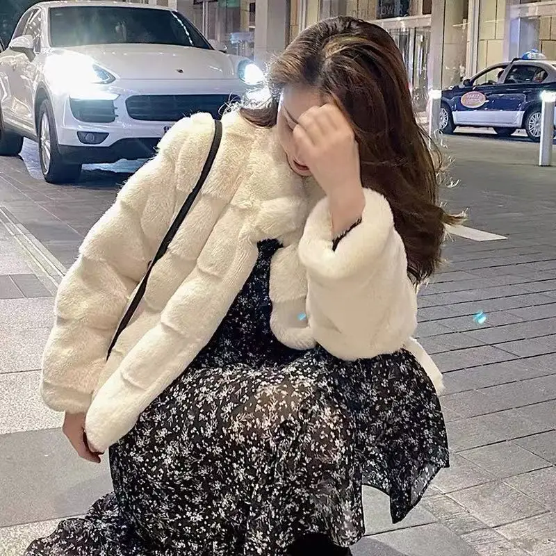Fall Winter Faux Fur Coat Women Warm Thick Crop Jacket Korean Fashion Long Sleeve Loose Flurry Coat Loose Stand Collar Outwear
