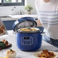 Automatic Mini Rice Cooker and Pressure Cooker, 2024 New Version, Household Portable Two-in-One Electric Cooker 2