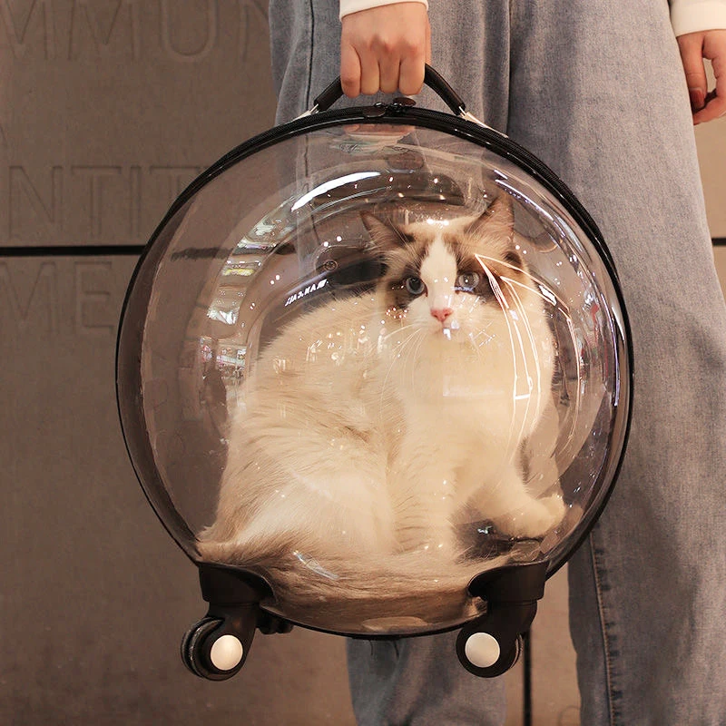

Mini Backpack Cat Bag Cute Carriers Carrying Stuff Hand Shoulder Cat Bag Kitten Outdoor Transport Petits Animaux Cats Supplies