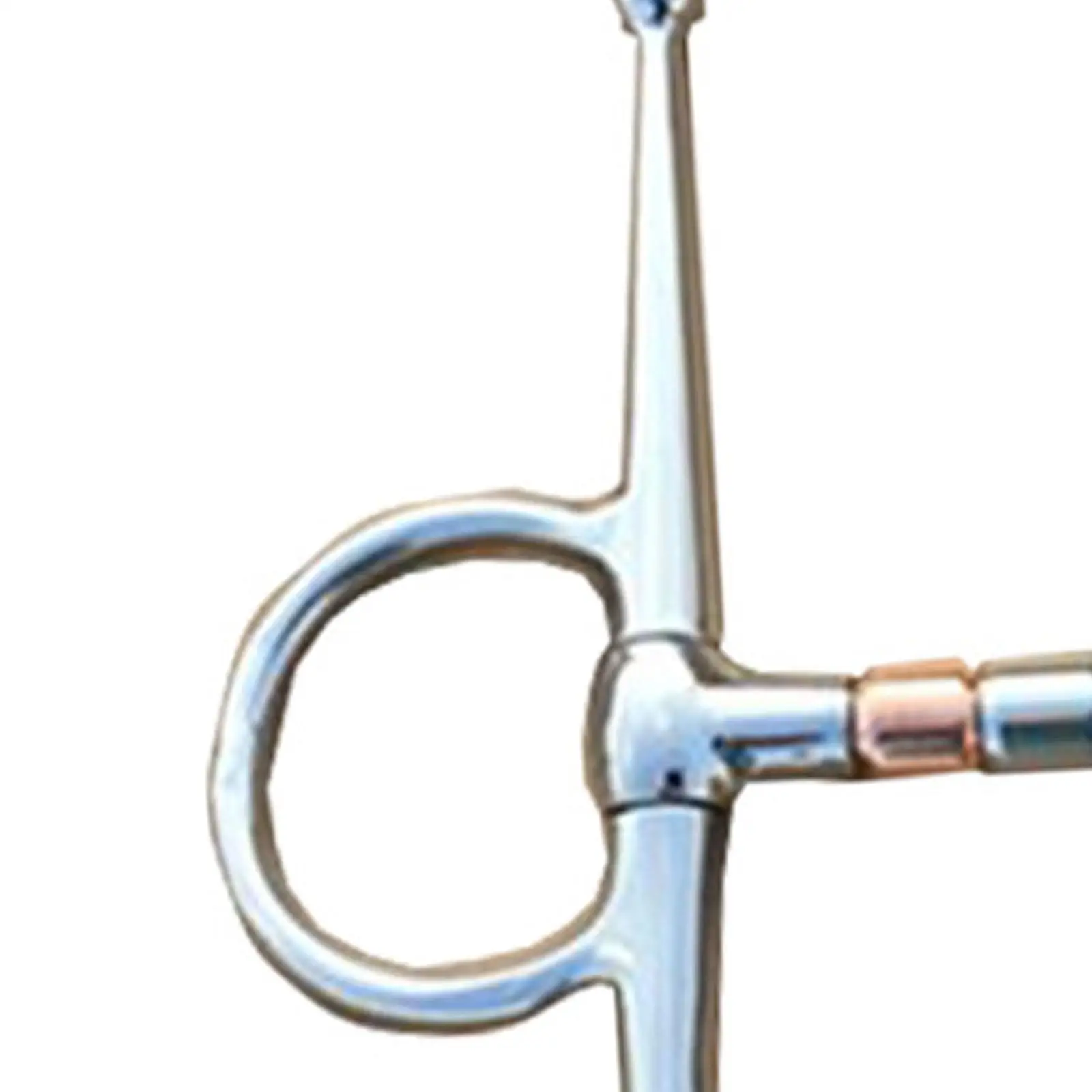 Horse Bit Horse Mouth Piece Equestrian Supplies Larger Rings 