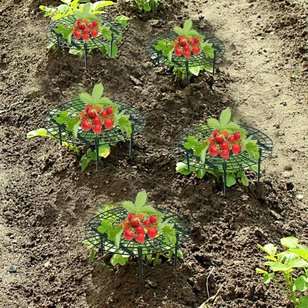 Strawberry Supports with 4 Sturdy Legs Vegetable Growing Rack Keep Berries Clean Balcony Planting Rack Garden Tools
