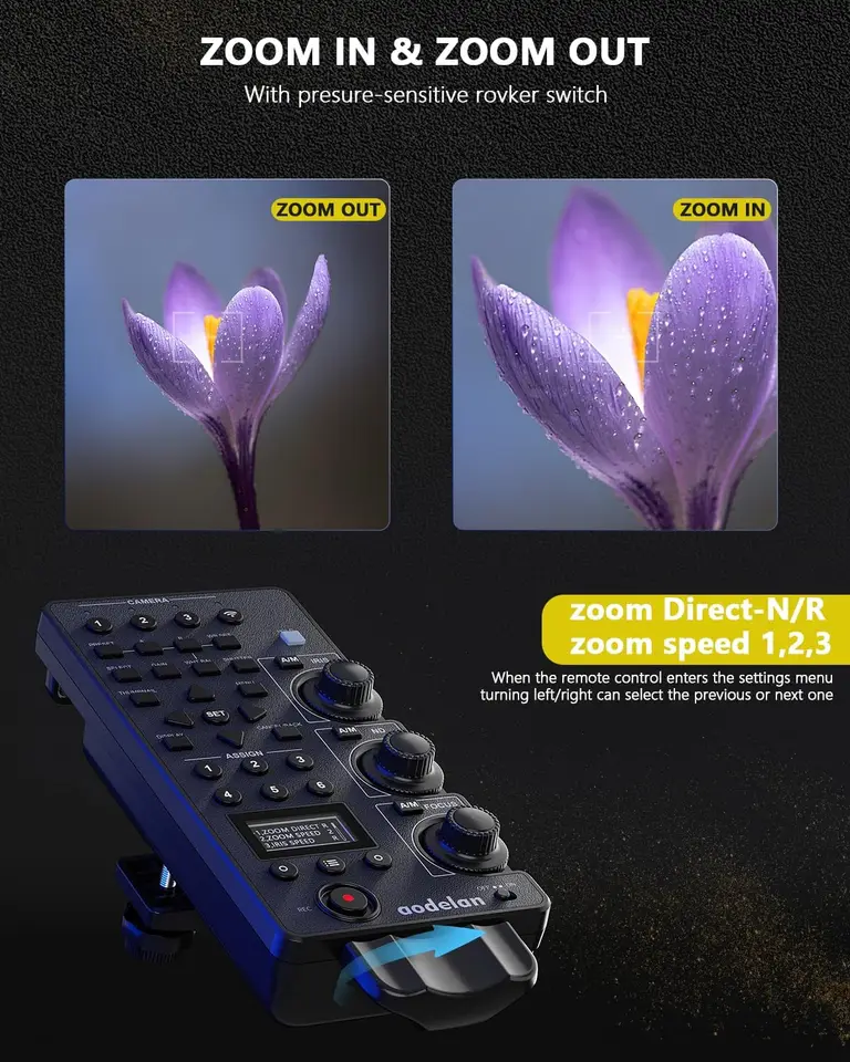 S6d005fde43c54846a2b1add31724f