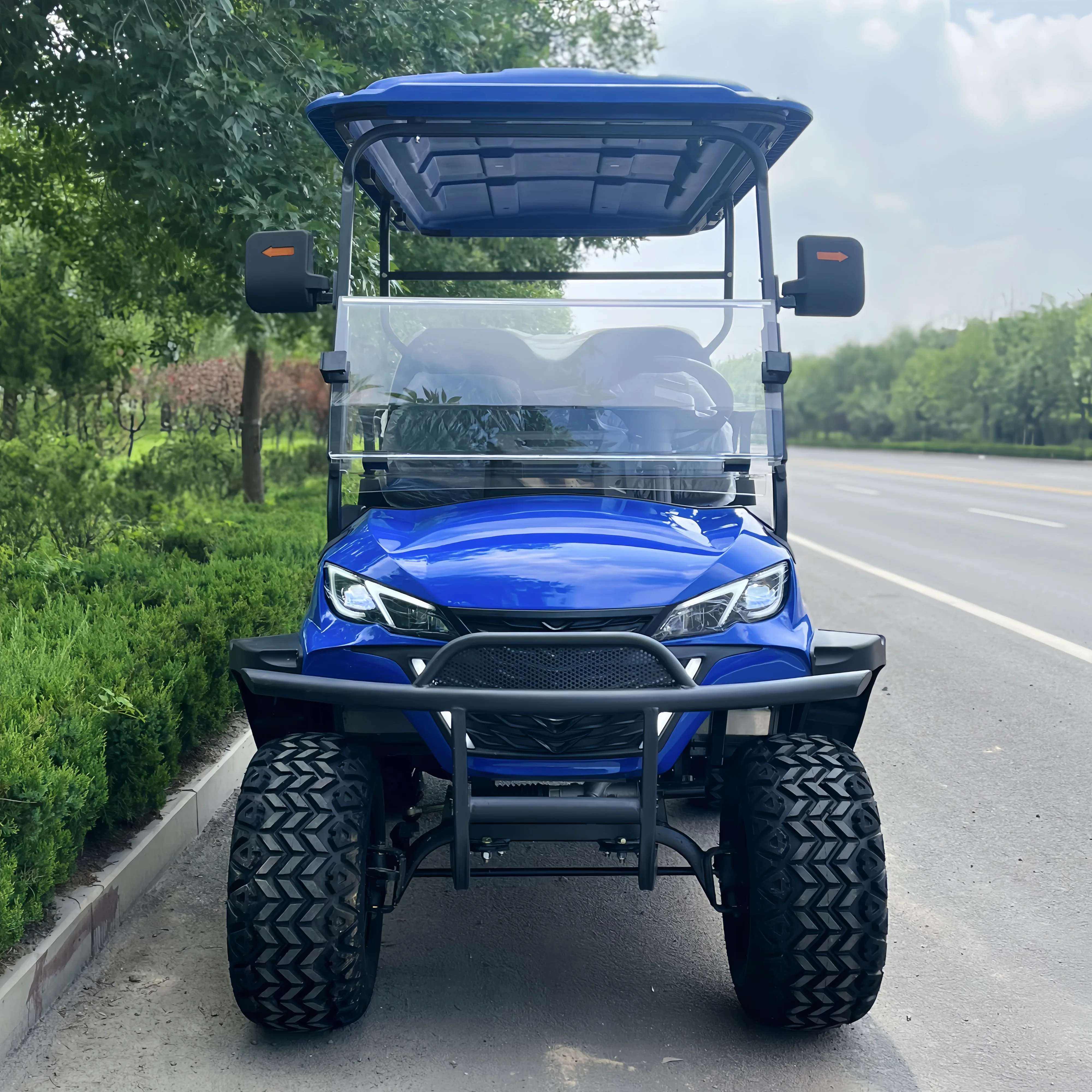Low Price Buggy 2 Wheel Mini Single Seat An Electric Golf Cart For Golf Courses