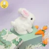 WanWan Toys Electric Plush Simulation Toy Children's Gift Bionic Puppy Interactive Doll Pet Toy 4