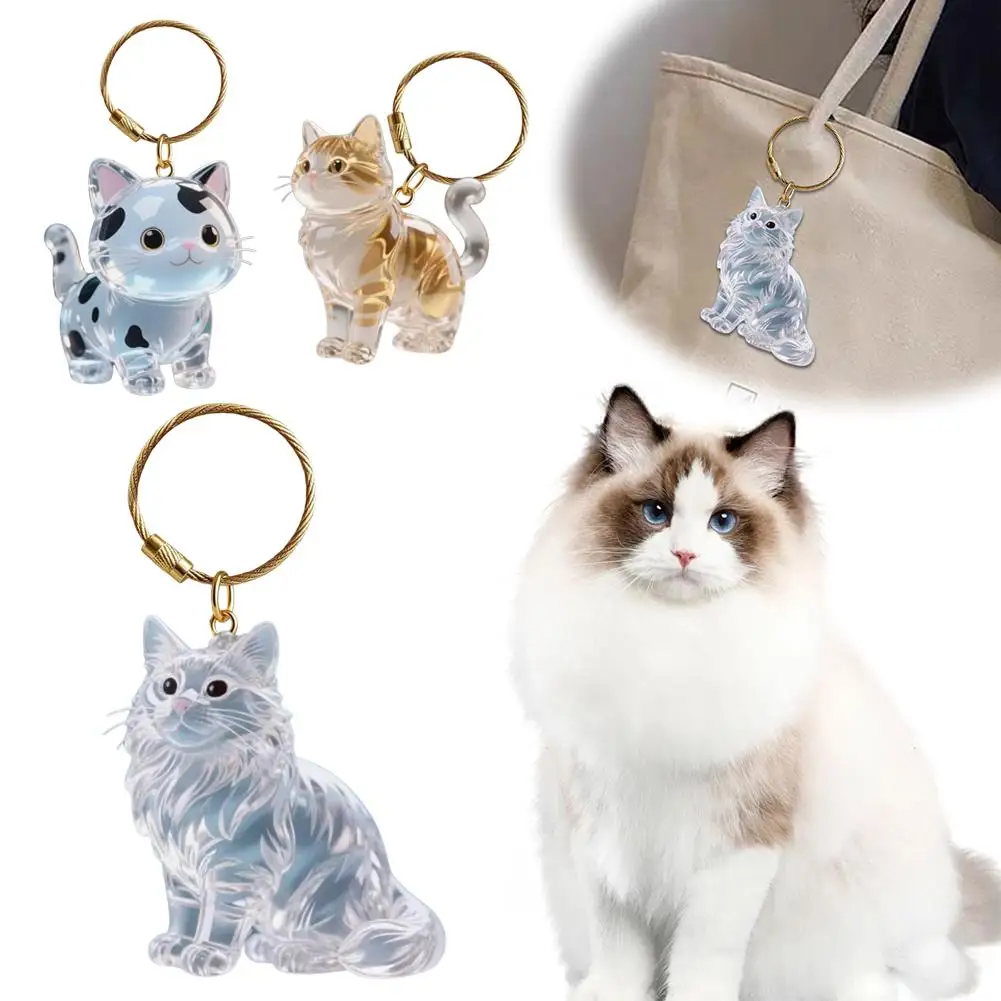 Pet Hair Keepsake Keychain 2