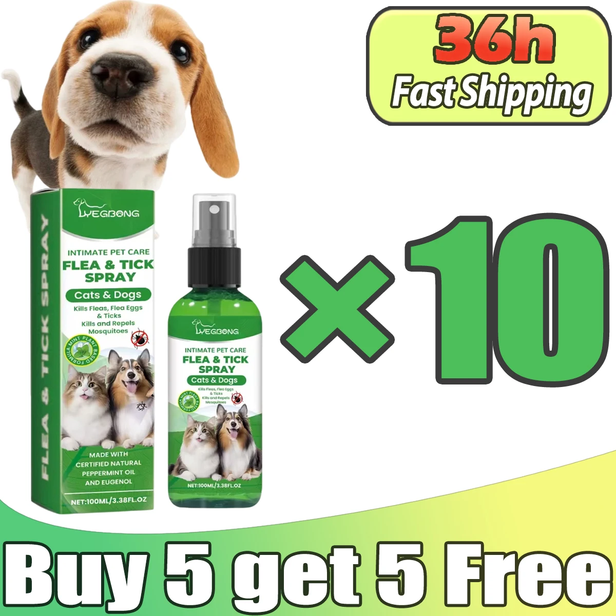 10pcs