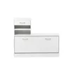 Combination Model Gate Cabinet with Shoe cabinet+Hang shelf+ Mirror 5