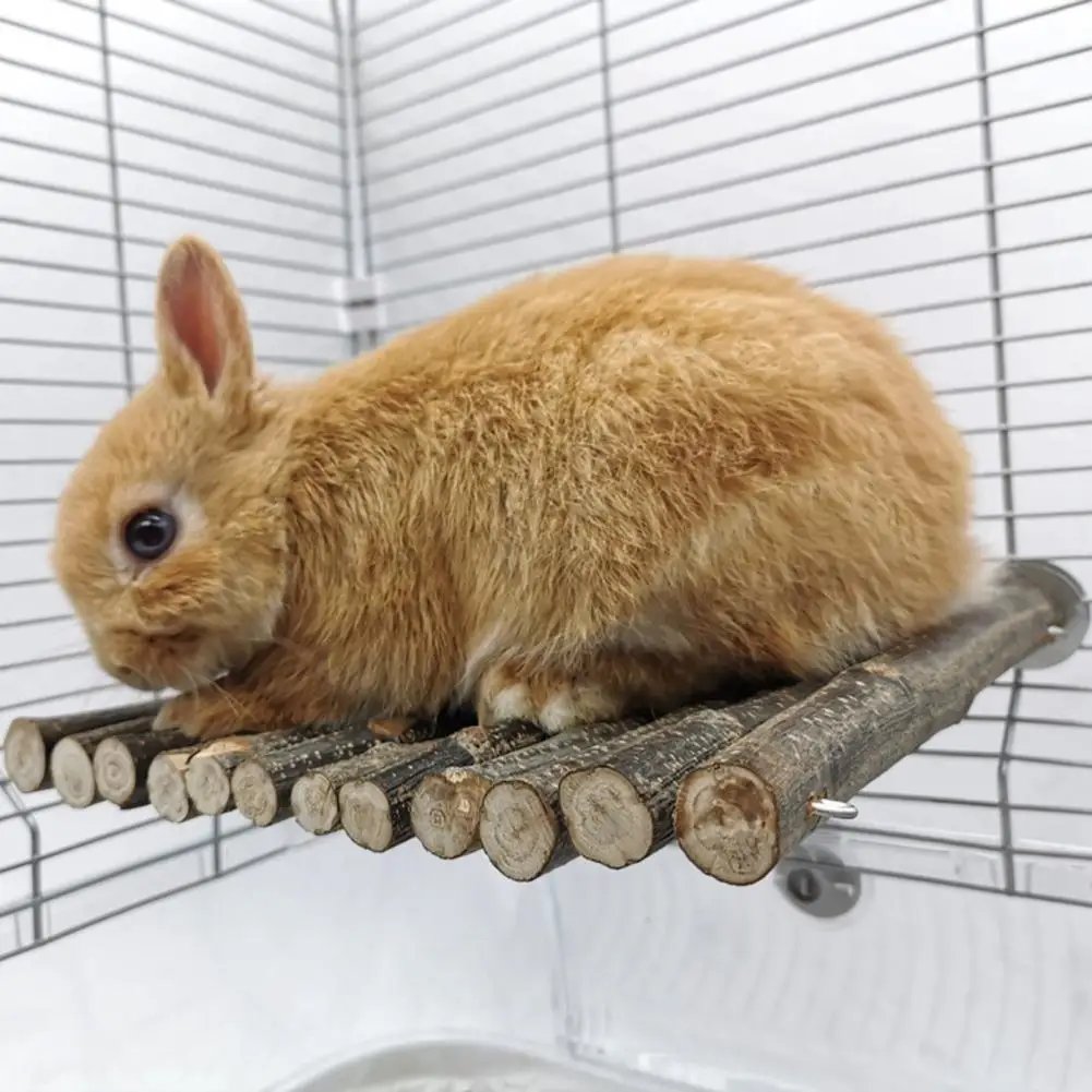 Chinchilla Stand Molar Toys Creative Swing Toy Chinchilla Platform Small Pet Climbing Toy Parrot Stand Exercise Trai
