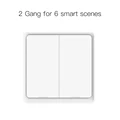 2 Gang Scene Switch