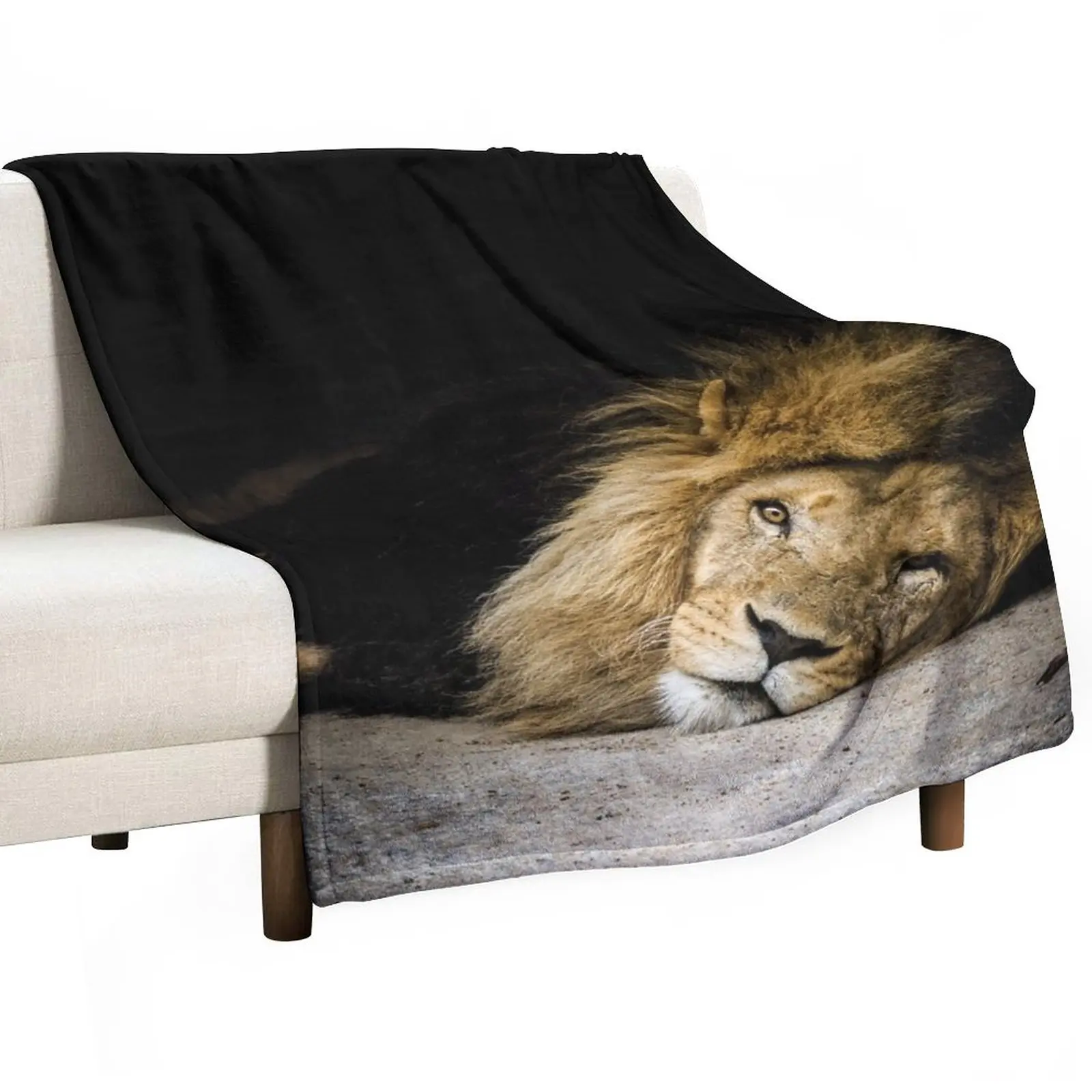 

Resting Throw Blanket Beautiful Blankets Heavy Blanket