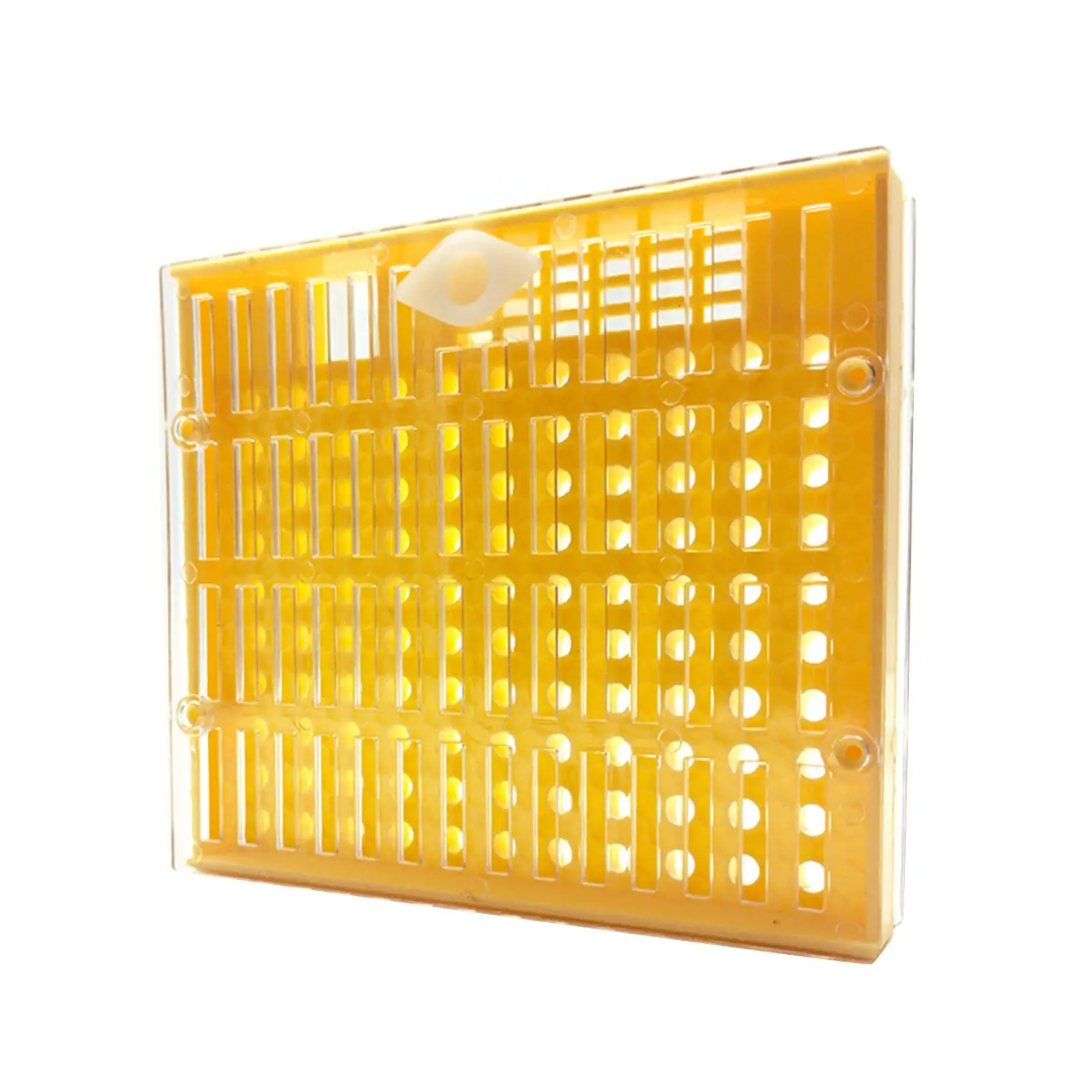 Queen Rearing Box Queen Bee Development Container Beekeeping Rearing Device Multifunction for Outside Gate Apiculture Supplies