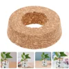 6 Pcs Plant Terrarium Micro Landscape Vase Wall Planter Cork Lid Supplies Hanging for Bottles Light Brown Hydroponic Ball Lids 2