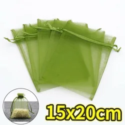 Reusable Insect - Resistant Mesh Bags for Fruit Protection in Gardens (15x20cm)
