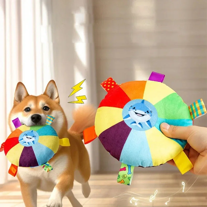 Rainbow Flying Disc 1