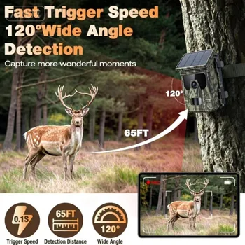 Solar Night Vision Trail Camera 6