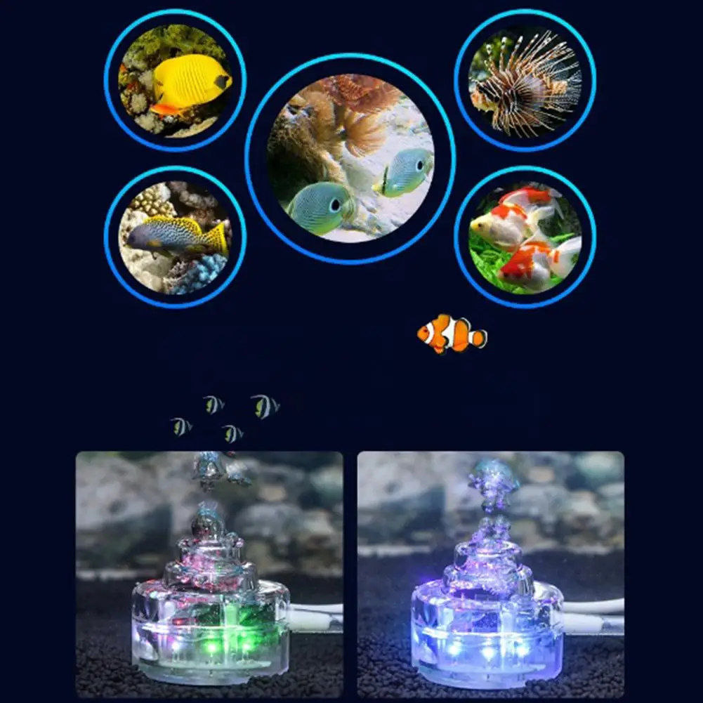 äο Led   ׶̼ ÷    ũ    ׼