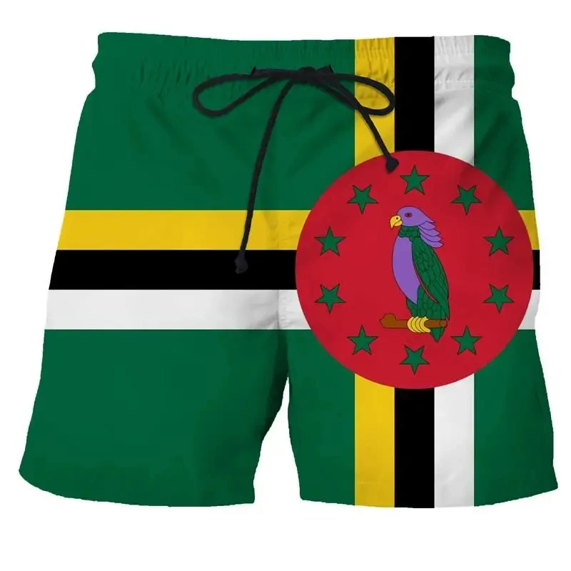 Summer Men's Swimsuit Spain Flag Print Surfing Board Beach Shorts New Fashion Oversized Trunks Sportwear Briefs Boy Short Pants 5