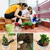 3pcs Mini Durable Spade Shovel Rake for Plant Potted Flowers Seedlings Loose Soil Erramientas Bonsai for Little Hands Light Use 6