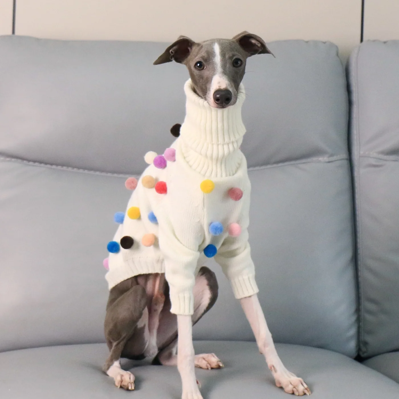 italian-greyhound-and-whippet-dog-christmas-sweater-warm-knitted-winter-dog-coat