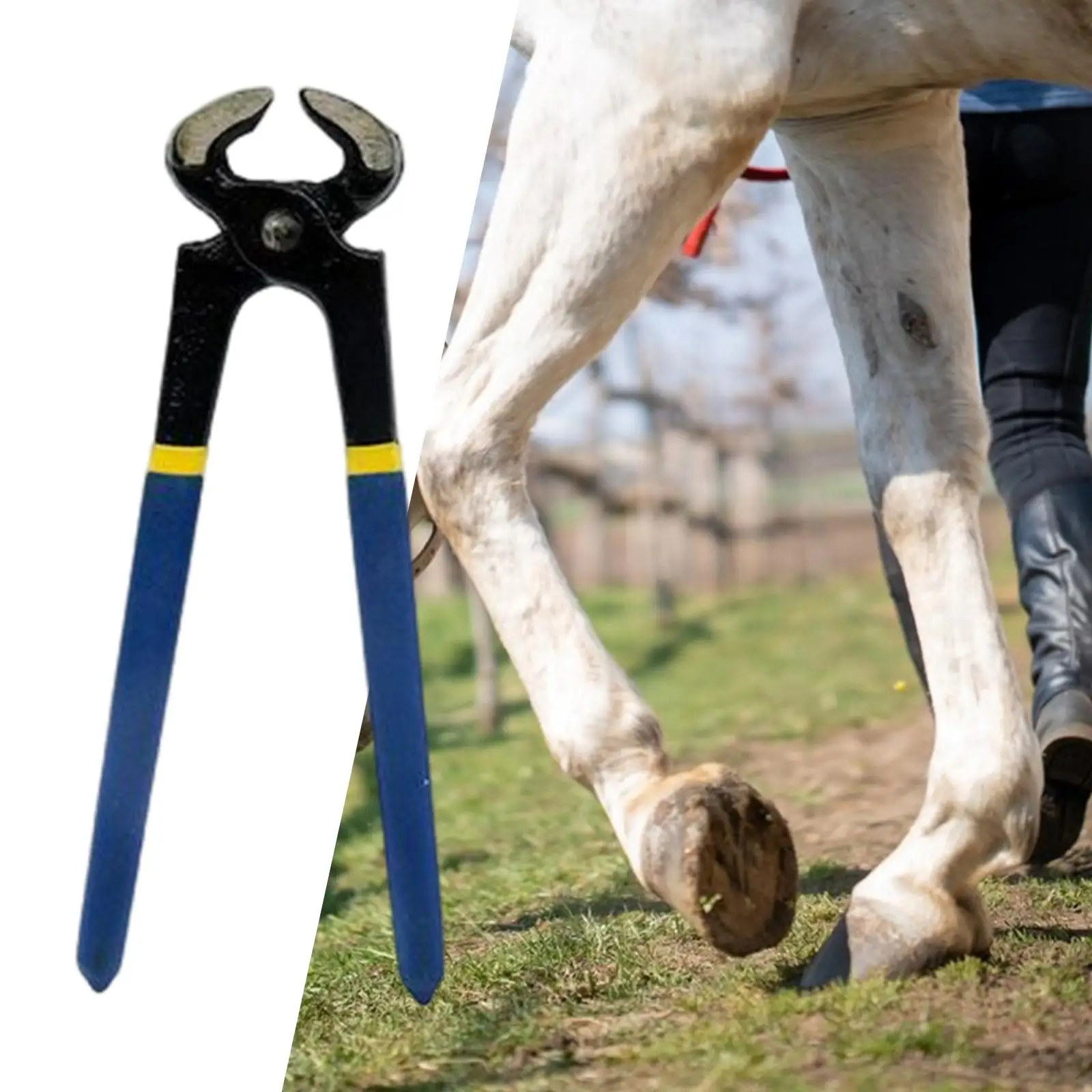 Horse Hoof Trimmer Professional Nail Clippers Hoof Repair Tools Durable Easy to