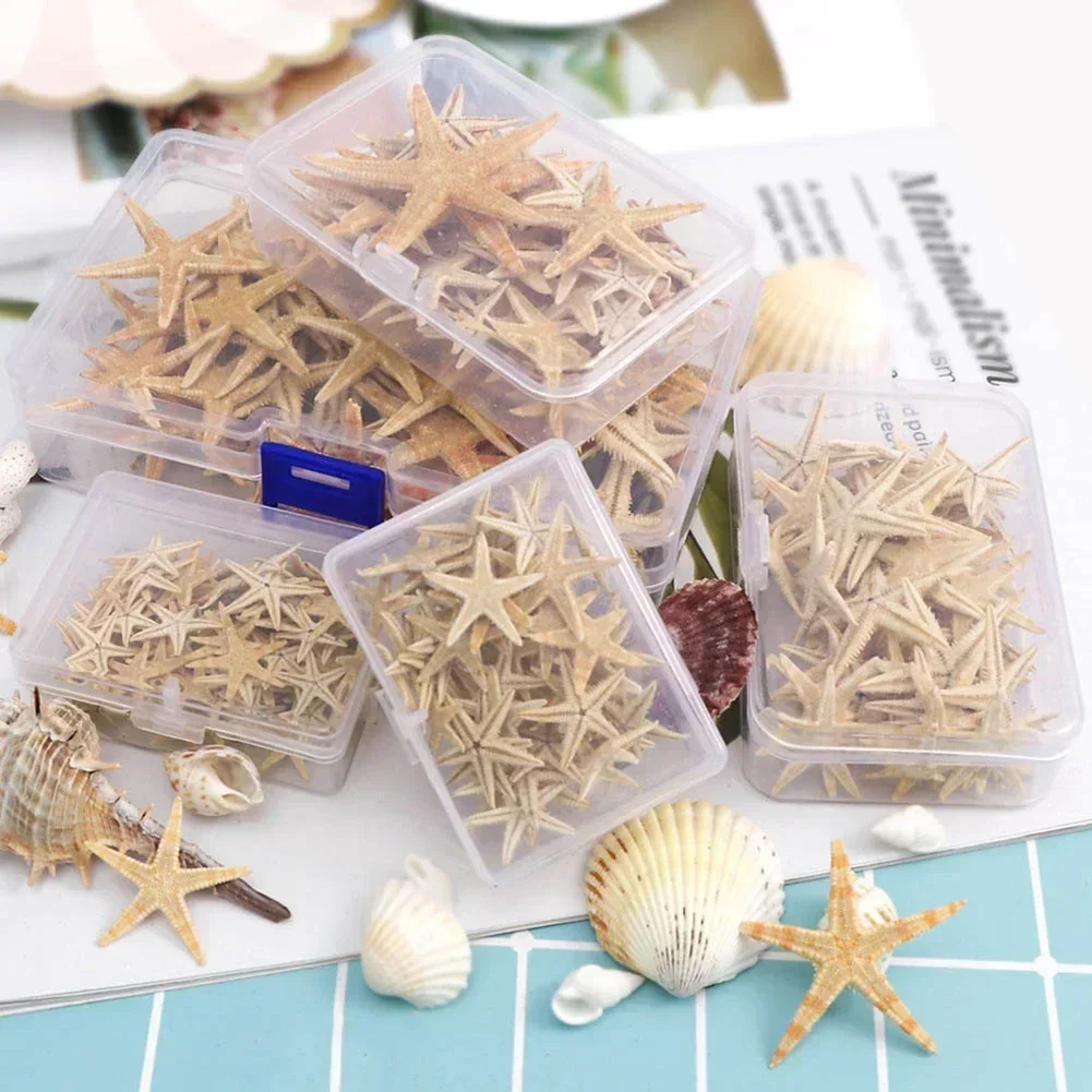 Starfish Natural Starfish Seashell Beach Craft Natural Sea Stars DIY Beach Wedding Decoration Crafts Home Decor 20/50/100pcs