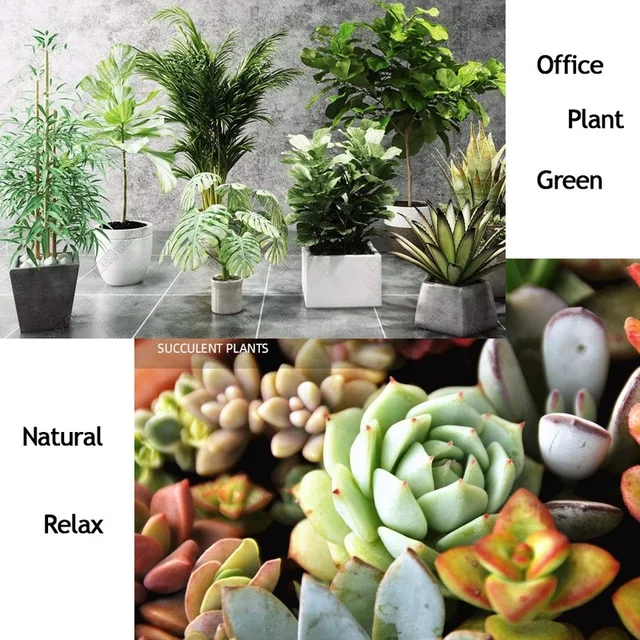 Biológiai Bio -Műtrágya Zöld Általános Célú Biztonságos És Szennyezés Ingyenes Felhasználású Virágnövény Ételek Kerti Bonsai 500G - Image 6
