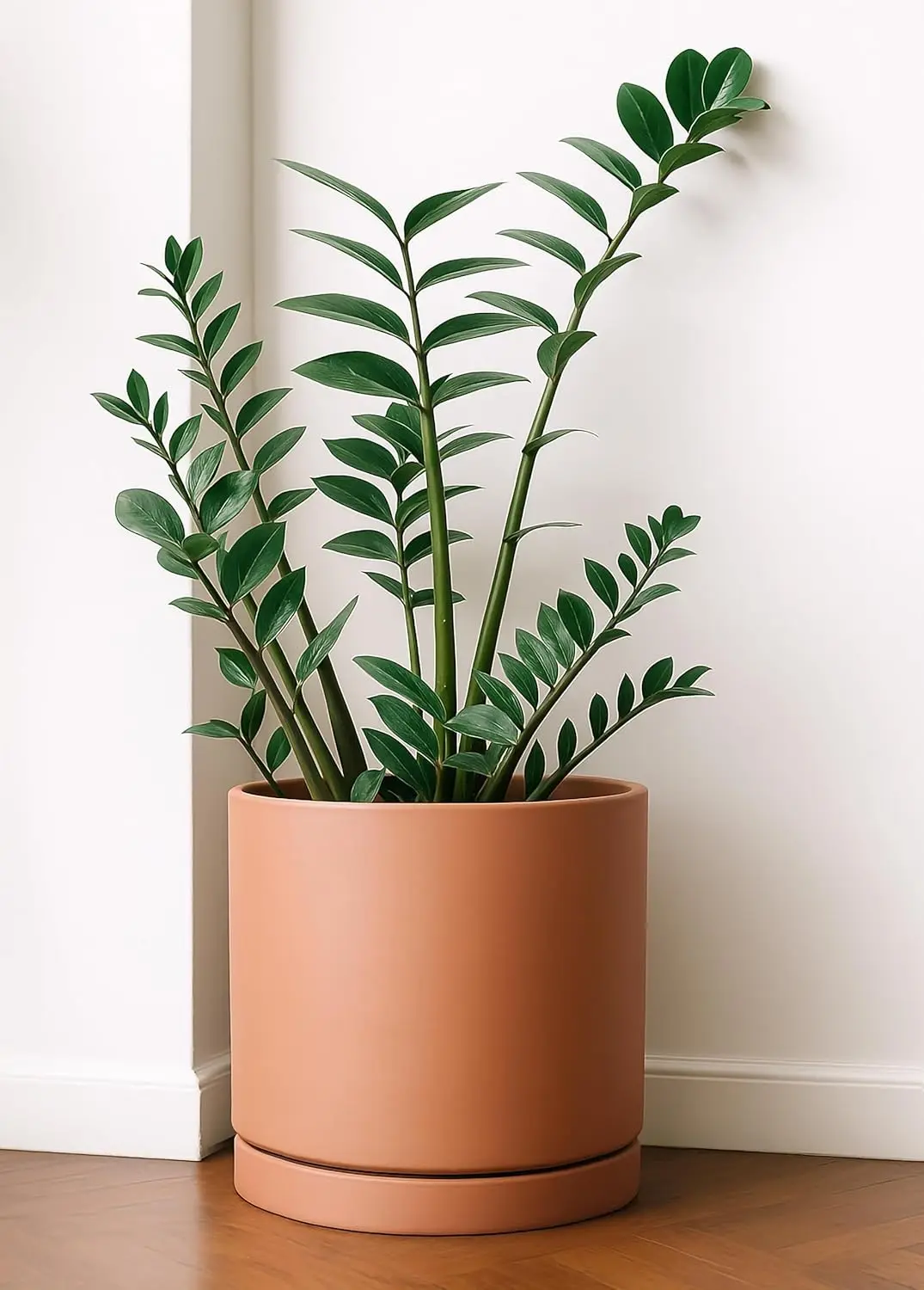 Terracotta planter with saucer and mesh