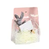 Wholesale Baby Birth Distributions Gifts Bags Transparent Wedding Gift Bags Guests Pvc Handle With Pearl Gifts Box 6
