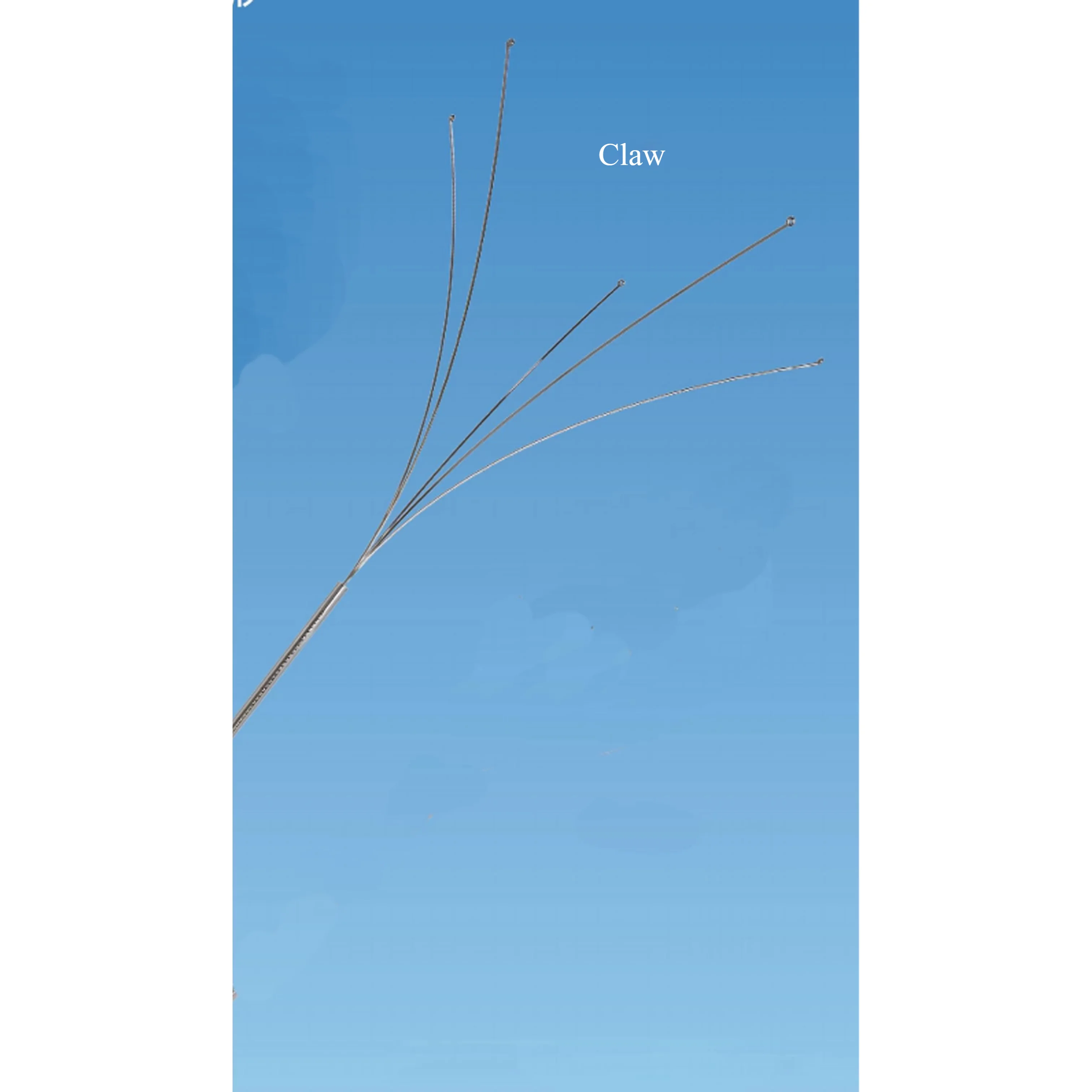 Foreign body forceps claw detail