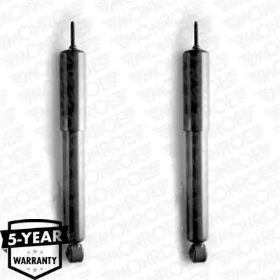 

Rear shock absorber for D5494