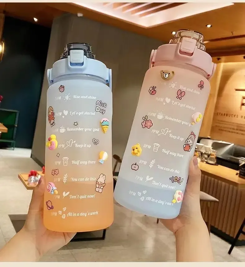 2L Colorful Frosted Water Bottle With Straw And Cute 