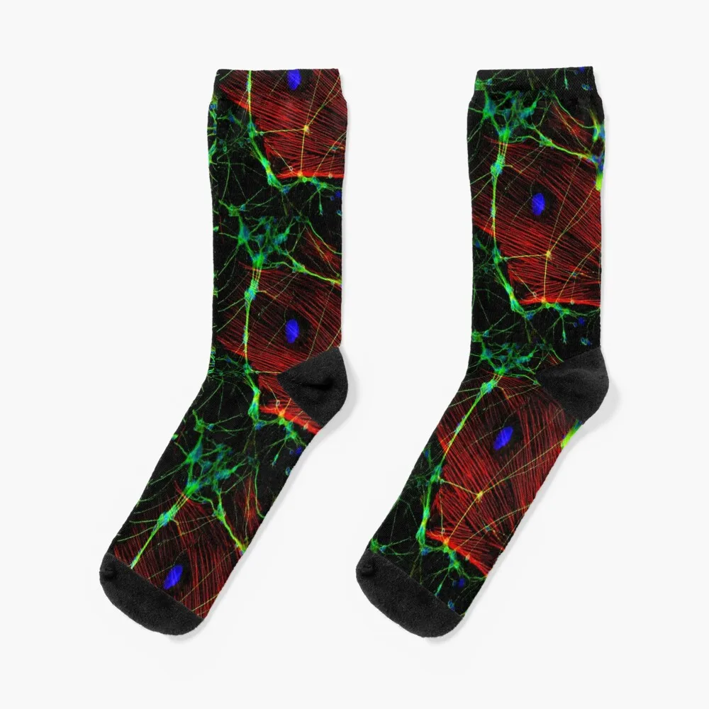 

Носки Synapses смешной подарок мужские Компрессионные Мужские носки женские