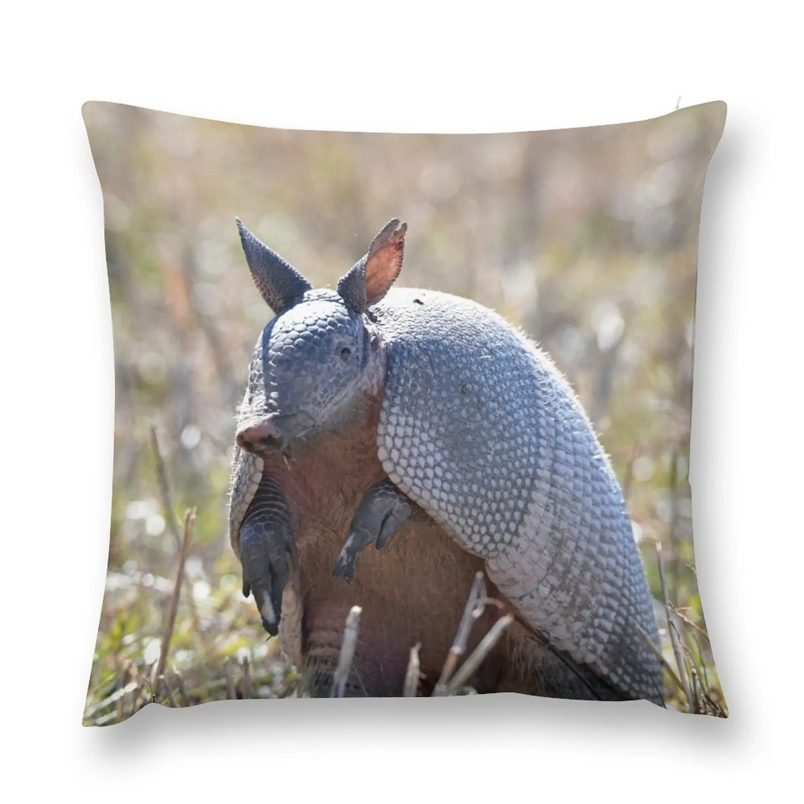 

Texas Armadillo Throw Pillow Anime home decor items New year