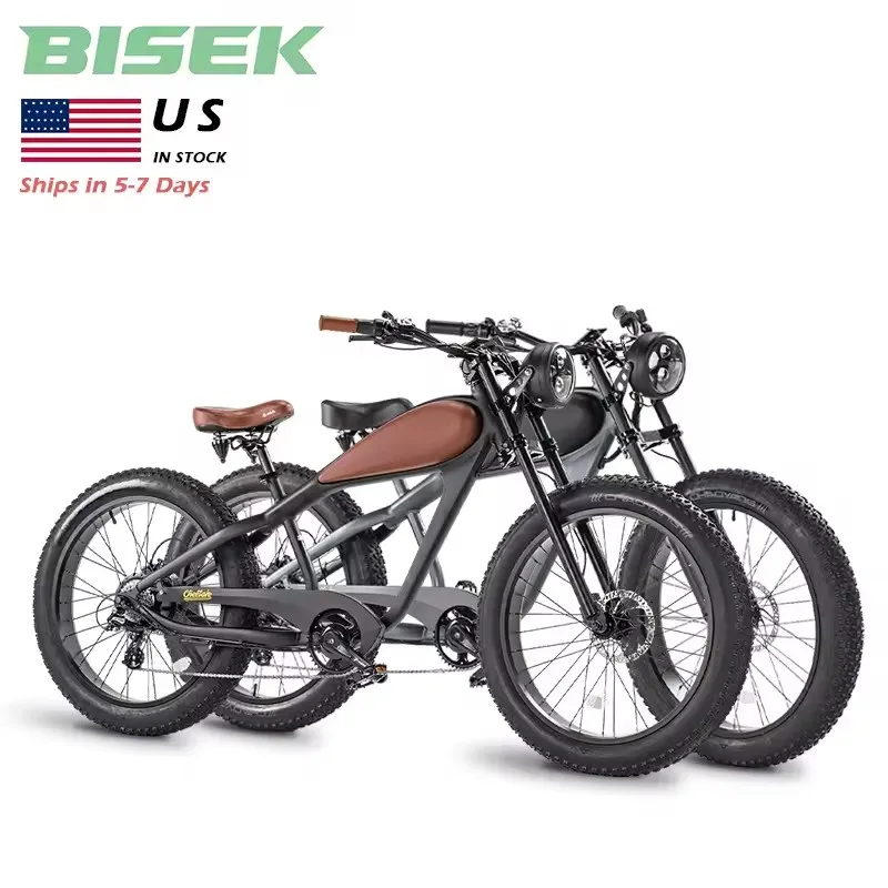 Ebike Fat Pull Super Ebike 73 Mountain Off-Road Bike Sport Fatbike Bici Elettrica City Bicicletta Elettrica 250W 1000W