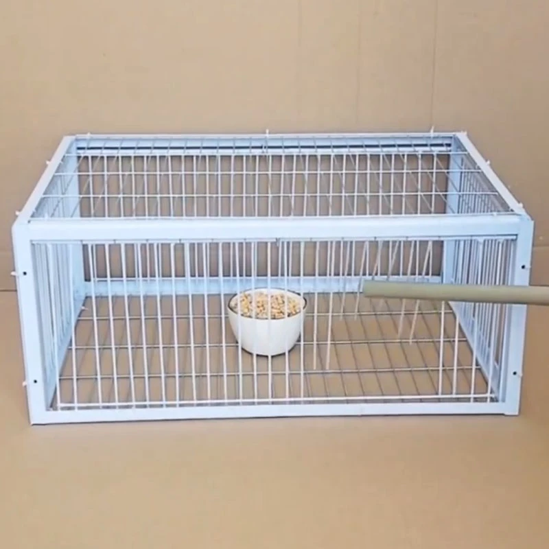 Mid Foldable Galvanised Pigeon Bird Trap Cage Feral Pigeon Humane Way
