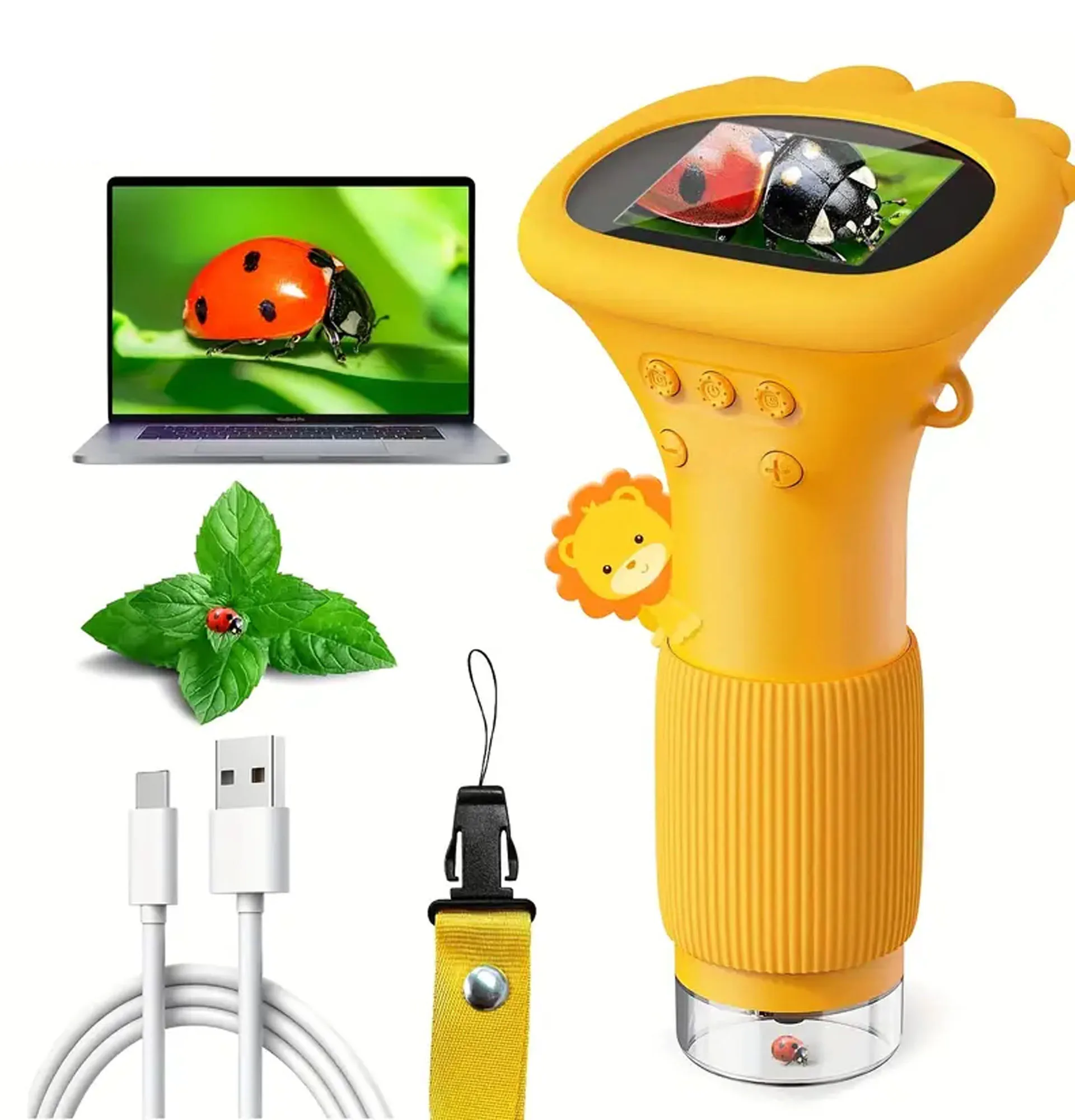 dsc-products