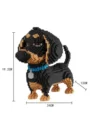 Big Dachshund Dog
