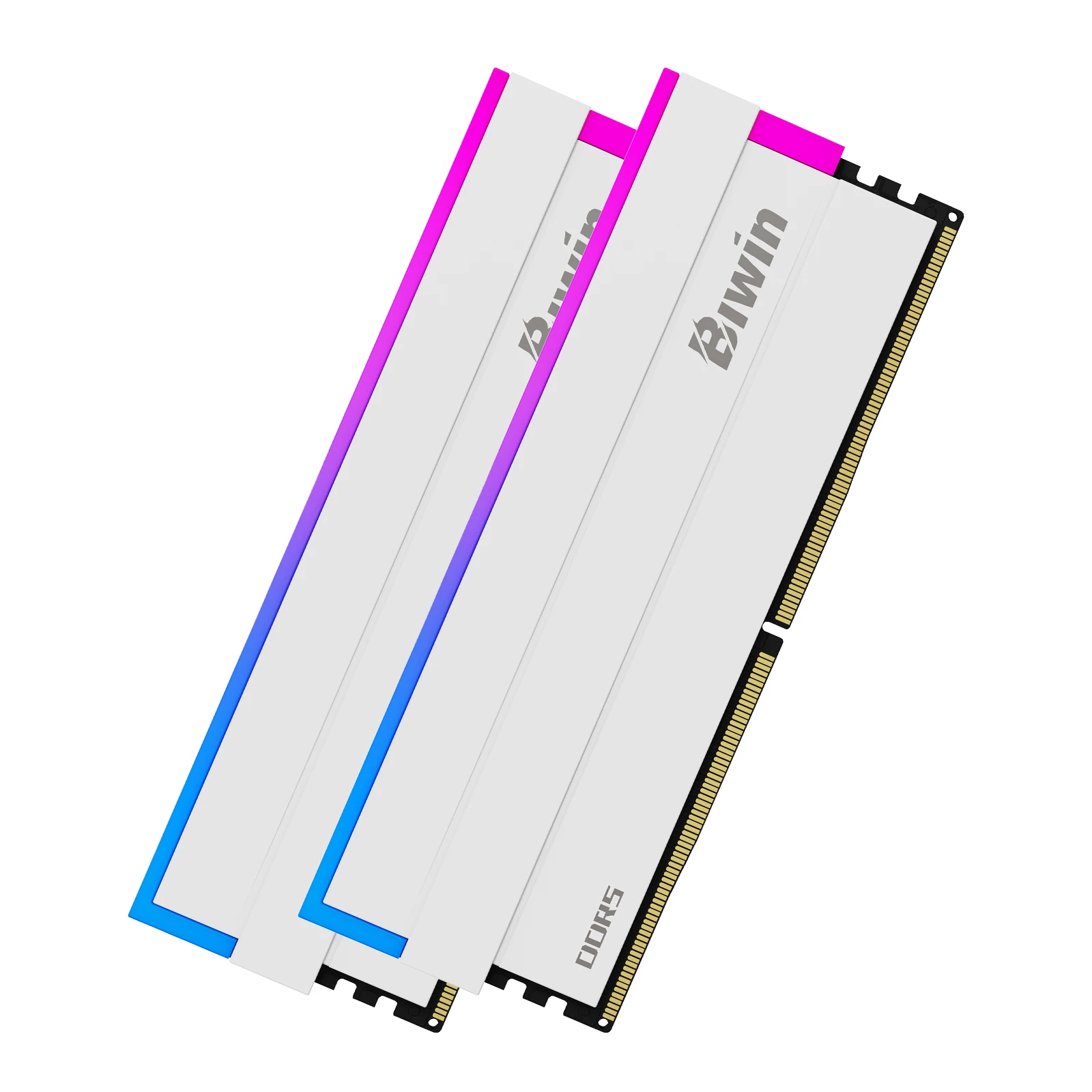 BIWIN DW100 RGB DDR5 RAM Memory 32GB(2x16GB) 6000MHz, CL28, Gaming