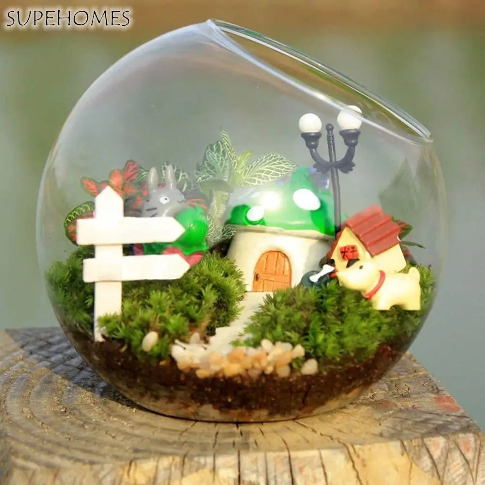 

Transparent Clear Glass Ball Vase Borosilicate Glass Oblique Plant Terrarium 8/10/12/16cm Clear Borosilicate Glass Vase