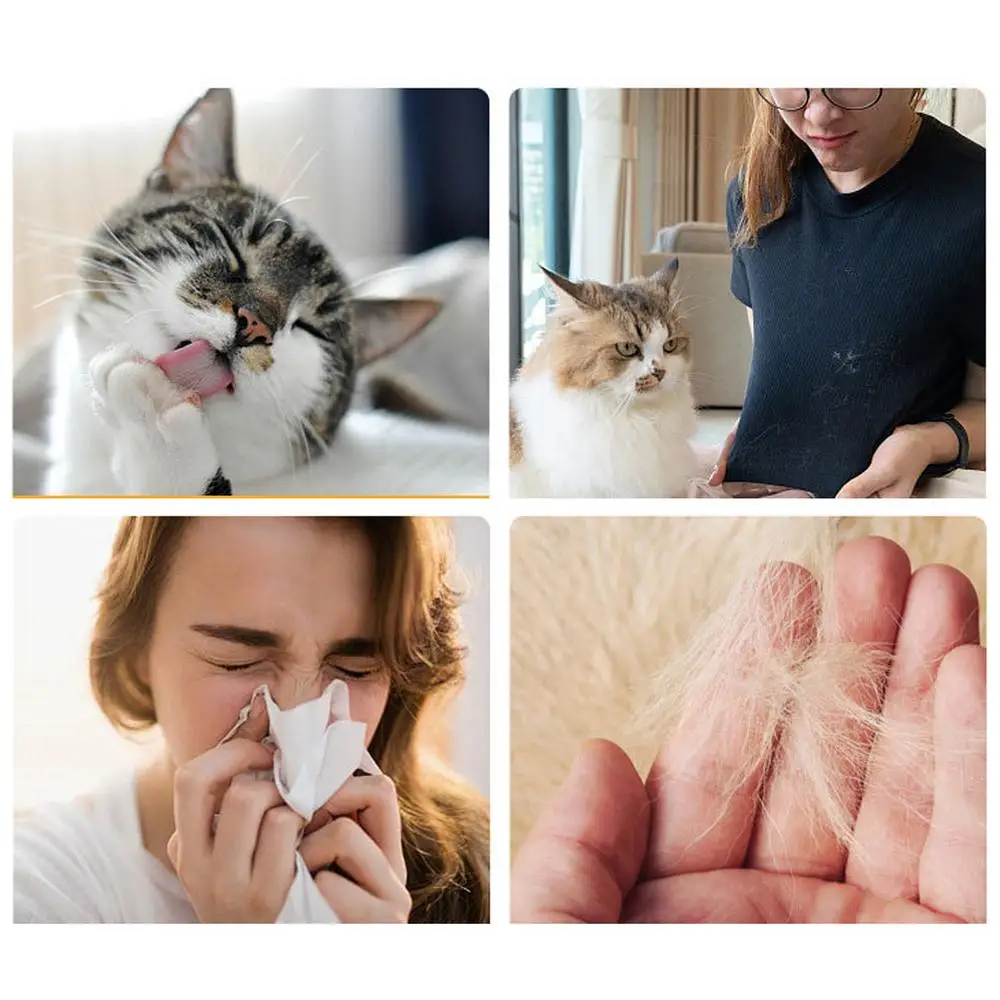 S6d3b3abc78624b0fb812b115b0aa36adu