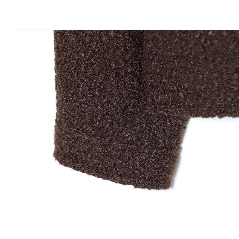 Women Faux Fur Lapel Jacket 2025 Autumn Winter Women's Coat Long Sleeve Loose Female Streetwear Casual New Outerwear