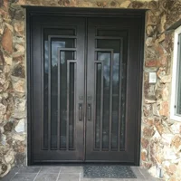 Factory Supply Cast Wrought Iron Exterior Door Iron Window And Door Grills Entry Iron Door 1