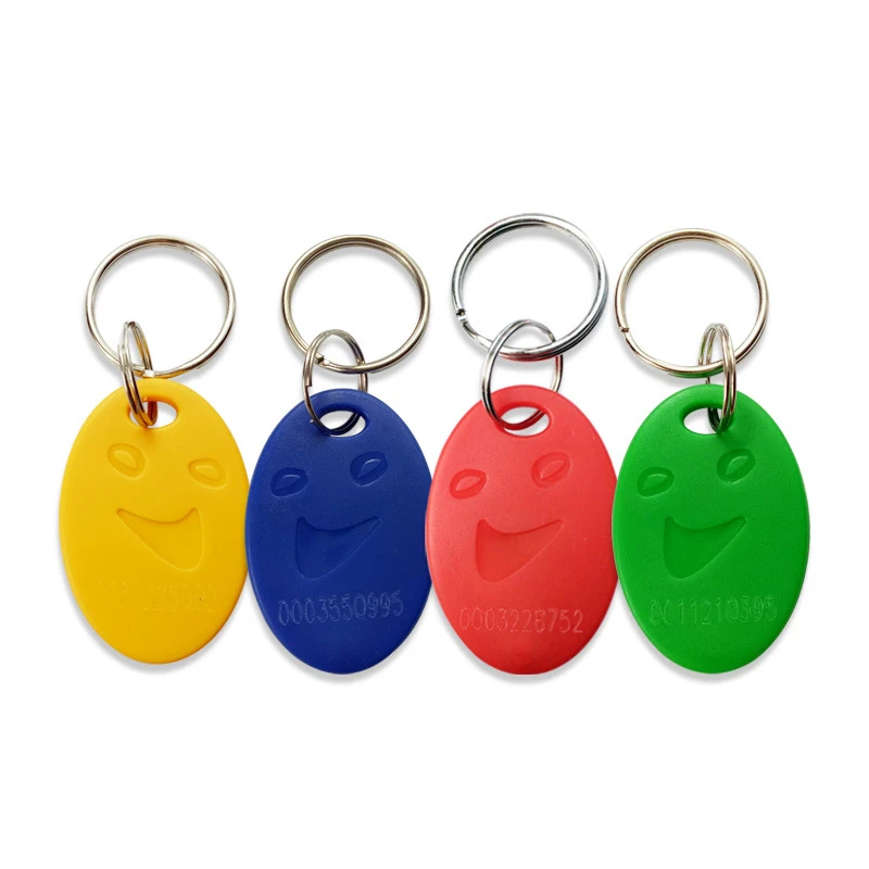 Pack of 100 RFID Key Fob Keychain Tags