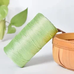 Ice Silk Thread for Summer Crochet - 250g Roll, 2.5mm Thick (Color 48)